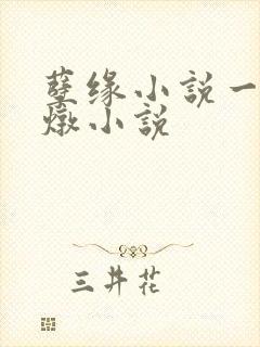 孽缘小说一家乱炖小说
