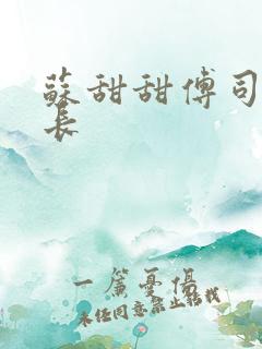 苏甜甜傅司衍机长