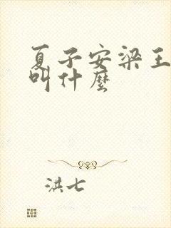 夏子安梁王书名叫什么