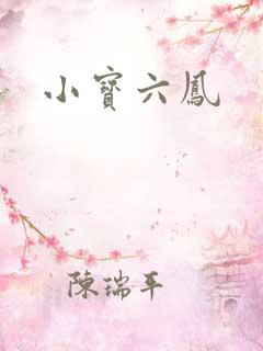 小宝六凤