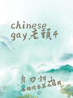 chinesegay老头4
