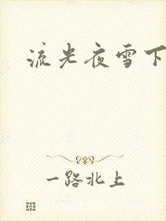 流光夜雪下载