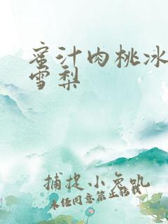 蜜汁肉桃冰糖炖雪梨