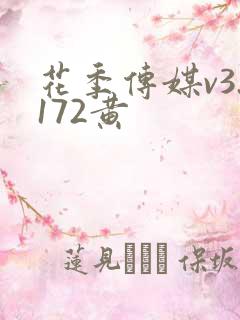 花季传媒v3.172黄
