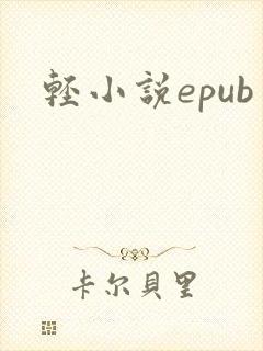 轻小说epub
