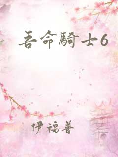 吾命骑士6