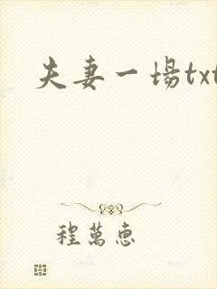 夫妻一场txt