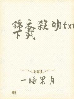 锦衣杀明txt下载