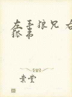 左手狼兄 右手狐弟
