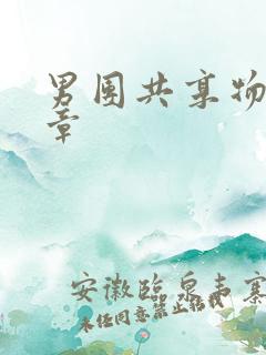 男团共享物第一章