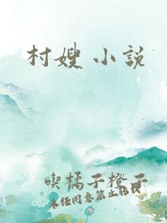 村嫂 小说