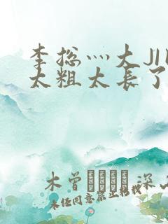 李总灬大JI巴太粗太长了