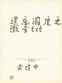 遗忘国度之神秘徽章txt