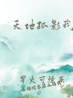 天地孤影我独行