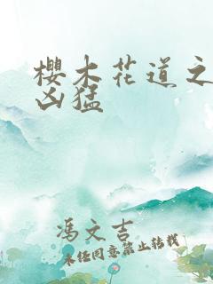 樱木花道之重生凶猛