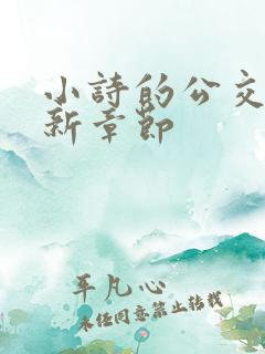 小诗的公交车最新章节