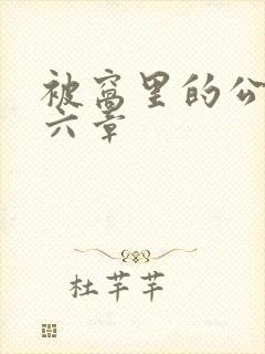 被窝里的公息十六章