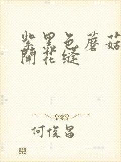 紫黑色蘑菇头顶开花缝