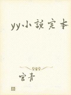 yy小说完本