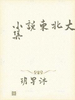 小说东北大炕全集