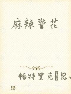 麻辣警花