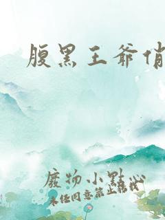 腹黑王爷俏医妃