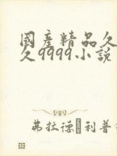 国产精品久久久久9999小说