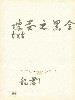 坏蛋之黑金帝国txt