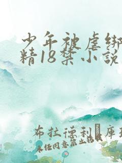 少年被虐绑着榨精18禁小说