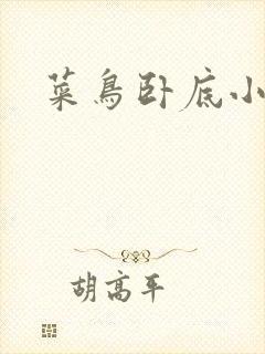 菜鸟卧底小正太