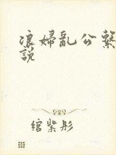 浪妇乱公系列小说