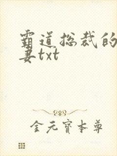 霸道总裁的挂名妻txt