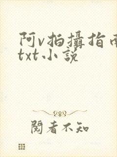 阿v拍摄指南说txt小说