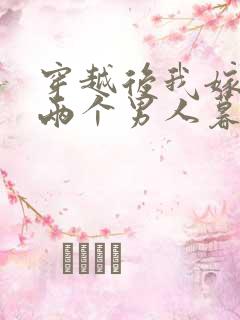 穿越后我嫁给了两个男人暮色酒歌