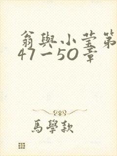 翁与小莹第十部47一5O章