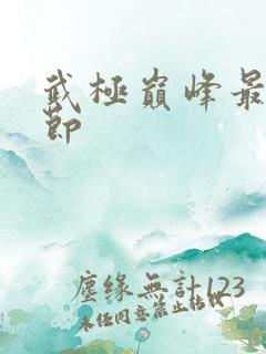 武极巅峰最新章节