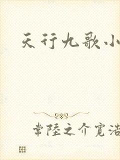 天行九歌小说