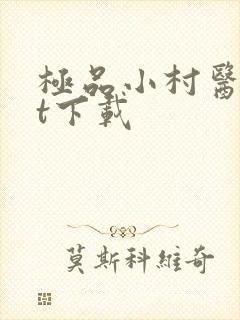 极品小村医txt下载