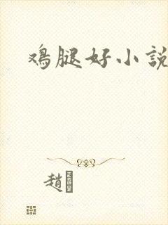 鸡腿好小说网