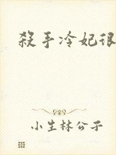 杀手冷妃很腹黑