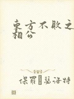 东方不败之狐狸相公