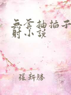 无套抽插子宫内射小说