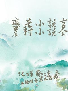 恋老小说言情网农村小说全文阅读