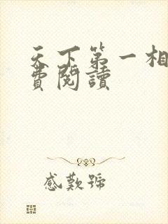 天下第一相书免费阅读