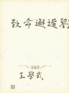 致命邂逅刘小寐