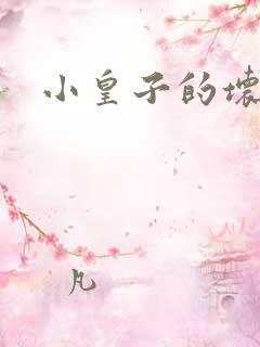 小皇子的坏王妃