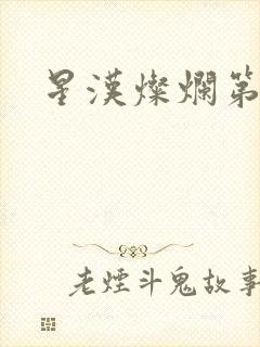 星汉灿烂第二部