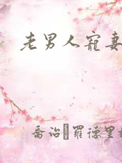 老男人宠妻日常