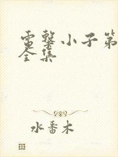 电击小子第二部全集