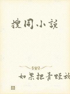 搜同小说